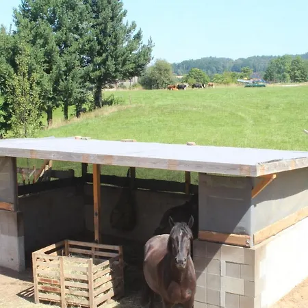 Feldblick Struppen