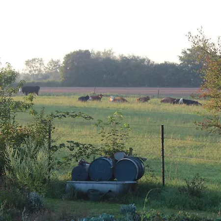 Feldblick דירה *