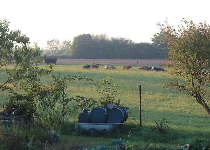 Feldblick Appartement *